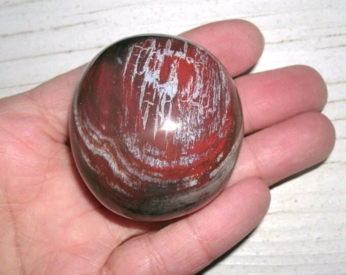 Polished Red Petrified Wood Palm Stone Specimen with white, grey and brown, crystal healing, metaphysical, for decor, display specimen, OOAK