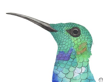 Turquoise hummingbird, watercolor painting, hummingbird print, hummingbird art, wall art