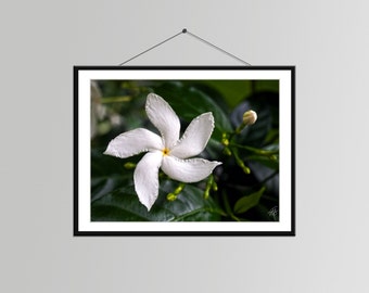 White Flower Wall Art flower wall decor | etsy White Flower Wall Art flower wall decor | etsy