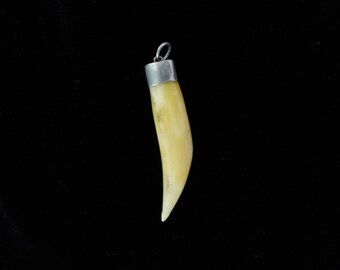 Antique Tooth Fang Charivari Talisman Pendant