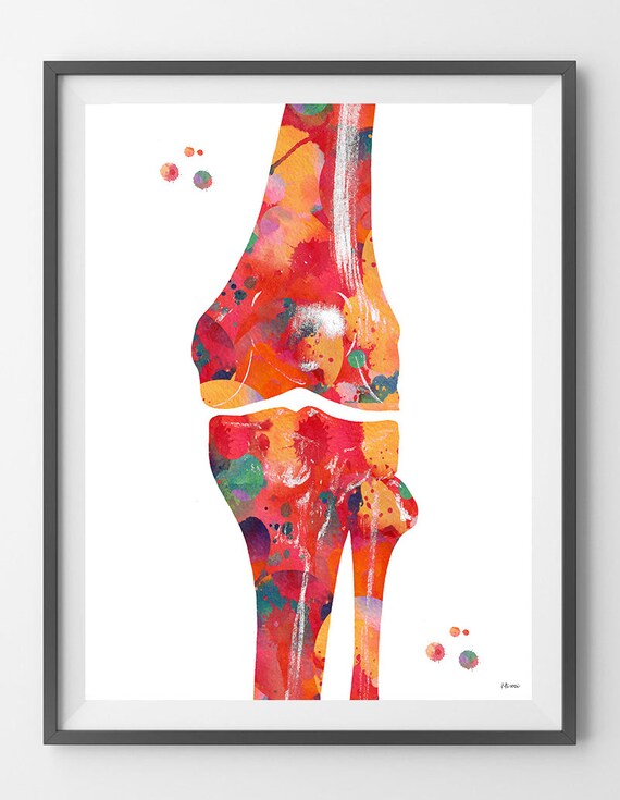 Knee bone watercolor print human anatomy knee poster