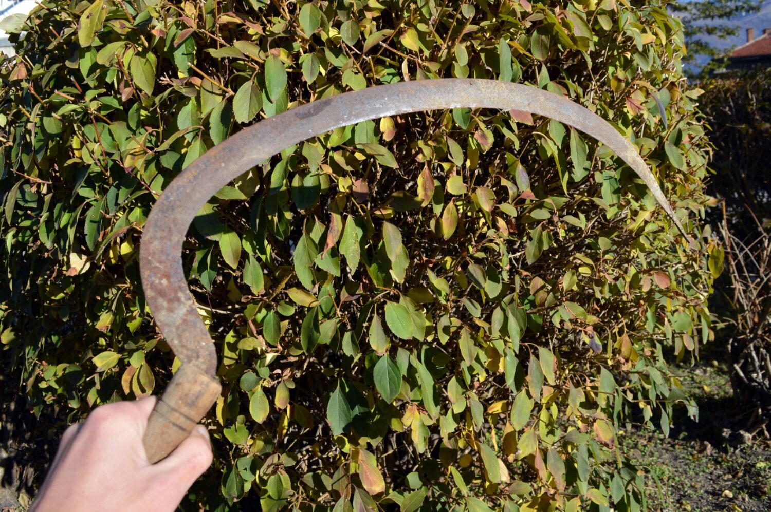 Vintage sickle Reaping hook Vintage hand sickle Rustic hand sickle Farm ...