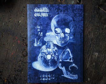 Macabre Medical Illustration of Gothic Skull, Skeleton & Teeth. Oddity Anatomical Art. Occult Wiccan Witchcraft Love Spell, Luxury Card.