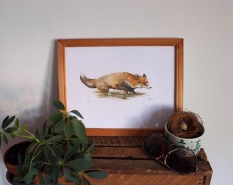 Illustration Fox red watercolor