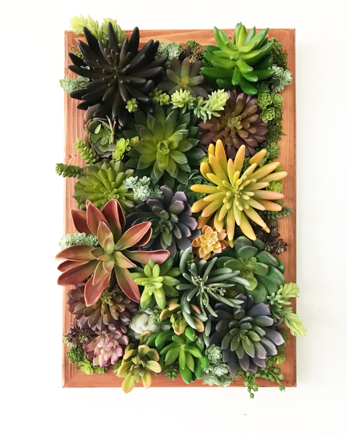 Succulent Arrangement Artificial Succulent Wall Garden