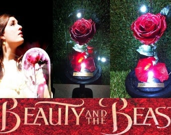 Beauty and The Beast Rose 100% Real Flower + Glass Jar Dome + Free ENGRAVING + White LED Lights - Last 5 Years -Belle Disney Enchanted 2017