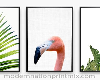 Flamingo Print, Colorful Bird, Flamingo Photography, Flamingo Photo, Flamingo Bird Art, Flamingo Bird, Flamingo Download, Instant Print