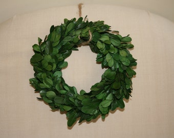 Preserved Mini Boxwood Wreath - Christmas wreath - Boxwood Wreath - Small Boxwood Wreath - approx. 6" diameter