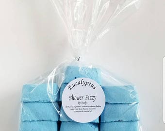 Eucalyptus Shower Bomb, Get Well Soon, Shower Fizzies, Holiday Care Package, Shower Steamer, Housewarming Gift, Stocking Stuffer, Spa Gifts