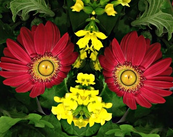 Orange Mum Flower Fairy