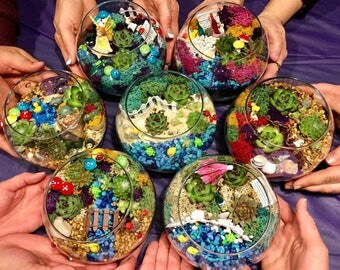 Fairy Garden Party Kit, Fairy Garden Kit, Fairy Garden Party, Fairy Garden Kits, Terrarium Kit, Succulent Fairy Garden kit