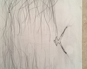 Bird drawing // Graphite // Ocean