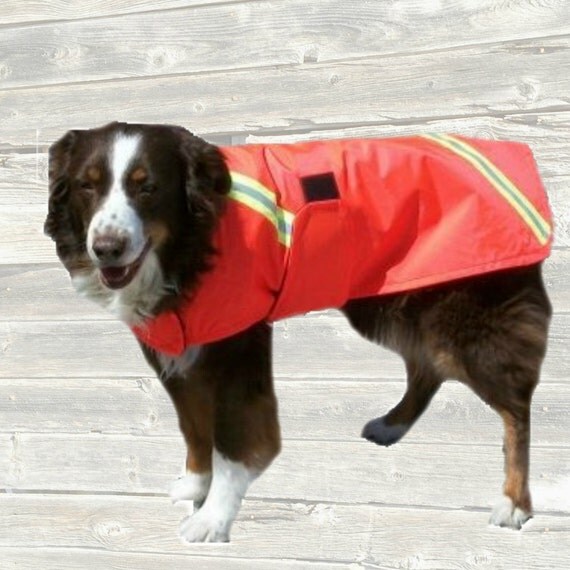 Winter Dog Coat custom made with adjustable velcro by madebyde