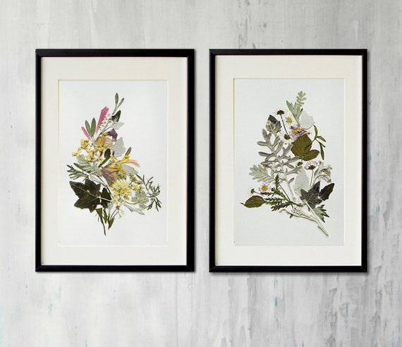 Set of 2 original botanical art artworks collection