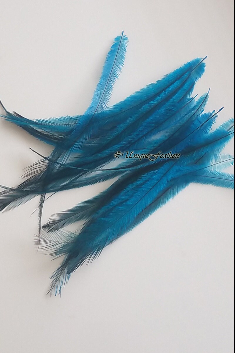 Turquoise Craft Feathers Cruelty Free Craft Feathers Turquoise
