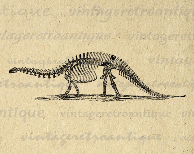 Brontosaurus Dinosaur Skeleton Printable Digital Graphic Image Download Vintage Clip Art Jpg Png Eps HQ 300dpi No.2728