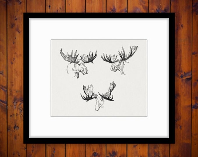 Digital Printable Moose Antlers Image Set Collage Sheet Download Illustration Graphic Artwork Antique Clip Art HQ 300dpi No.1217