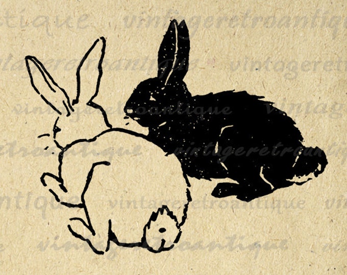 Two Rabbits Image Digital Graphic Bunny Illustration Download Printable Vintage Clip Art Jpg Png Eps HQ 300dpi No.2429