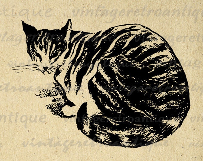 Printable Digital Cat Image Housecat Illustration Graphic Download Vintage Clip Art Jpg Png Eps HQ 300dpi No.3282