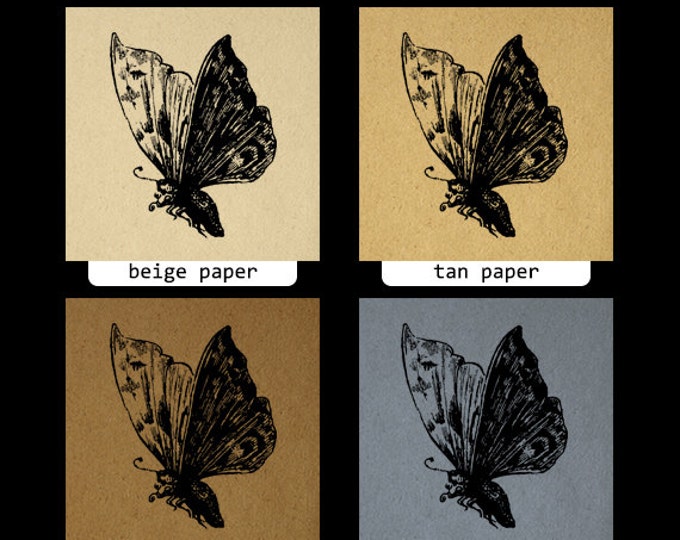 Digital Printable Butterfly Graphic Download Image Illustration Antique Clip Art Jpg Png Eps HQ 300dpi No.3914