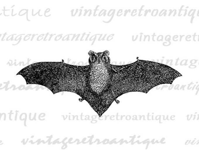 Printable Digital Antique Bat Image Halloween Download Graphic Vintage Clip Art Jpg Png Eps HQ 300dpi No.450