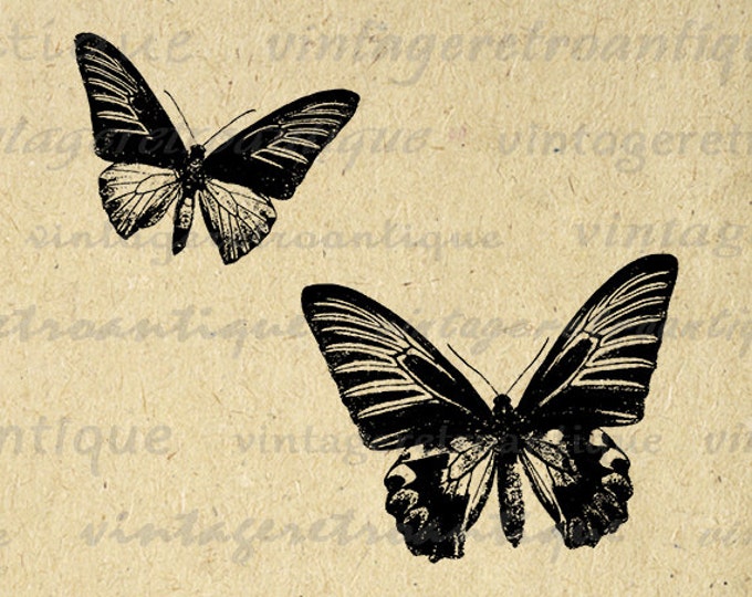 Printable Graphic Butterflies Image Butterfly Download Illustration Digital Antique Clip Art Jpg Png Eps HQ 300dpi No.3511