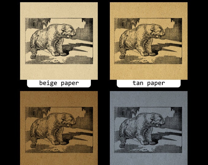 Polar Bear Digital Graphic Image Polar Bear Download Illustration Printable Vintage Clip Art Jpg Png Eps HQ 300dpi No.2578 Polar Bear Digital Graphic Image Polar Bear Download Illustration Printable Vintage Clip Art Jpg Png Eps HQ 300dpi No.2578