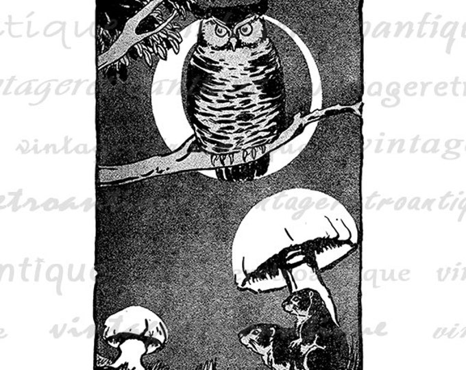 Owl with Mushroom Digital Printable Image Antique Download Graphic Jpg Png Eps HQ 300dpi No.297