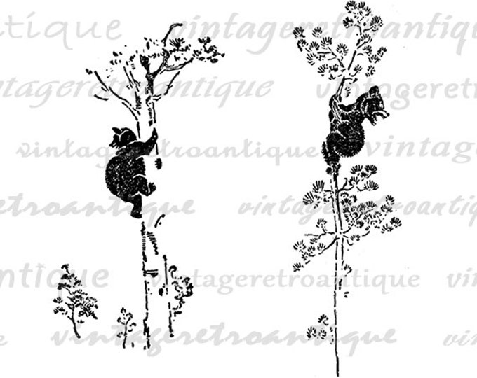 Printable Bears in Trees Graphic Download Cute Bear Cub Digital Blackbear Image Vintage Clip Art Jpg Png Eps HQ 300dpi No.923