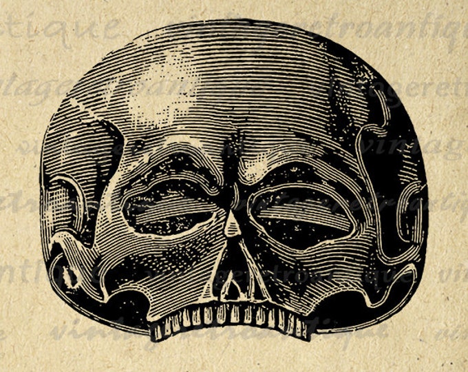 Skull Graphic Image Digital Illustrated Download Printable Vintage Clip Art Jpg Png Eps HQ 300dpi No.1453