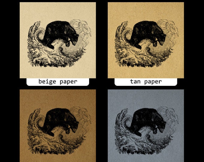 Antique Black Bear Digital Graphic Printable Animal Image Download T-Shirts Jpg Png Eps HQ 300dpi No.489