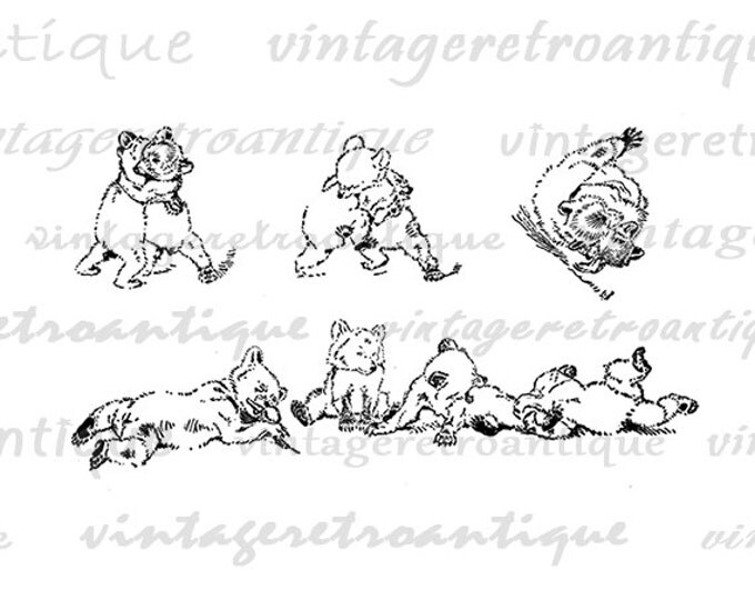 Printable Wrestling Bear Cubs Graphic Digital Collage Sheet Image Download Vintage Clip Art Jpg Png Eps HQ 300dpi No.950