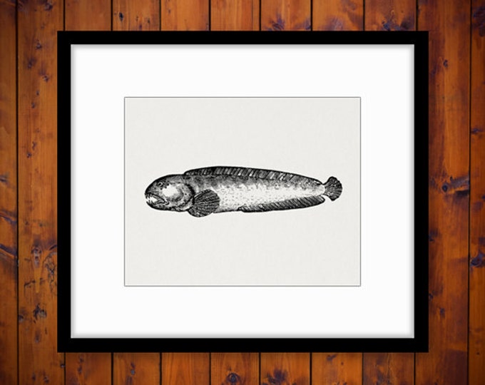 Printable Scary Fish Digital Download Ocen Graphic Image Vintage Clip Art Jpg Png Eps 18x18 HQ 300dpi No.590