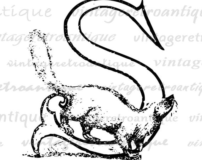 Squirrel with Letter S Printable Digital Download Squirrel Image Letter S Graphic for Transfers Pillows Tea Towels etc HQ 300dpi No.4707