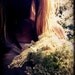 Jess Lowery