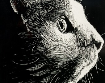 Cat Art, Cat Etching, Framed Cat Art, Original Cat Art, Cat Illustration, Feline Art