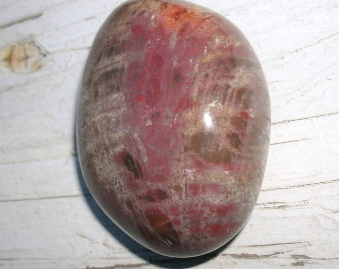 Polished Petrified Wood Palm Stone 85g ,colorful, display specimen, reds and browns, tan and grey, even some orange, OOAK gift, rocks