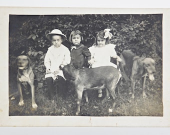 Children with a Goat and Hounds Postcard, Circa 1904-10, Real Photo Postcard, RPPC, Gelatin Silver Print Photo