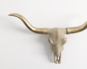 ANY COLOR Small Longhorn Cow Skull Wall Mount // Faux Taxidermy // Animal Skull // Western Decor // Southwest // Texas // Kingfour // Bull