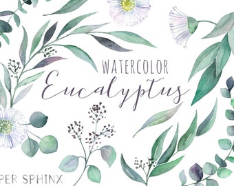 Watercolor Eucalyptus Clipart | Greenery Clipart - Flowers, Leaves, Branches and Stems - Wedding Invitation Clip Art - Instant Download PNGs