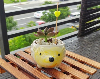 Hedgehog succulent planter - cute ceramic animal pot - mini planter for home decor, indoor, and kids or DIY (FREE letter charm & succulent)