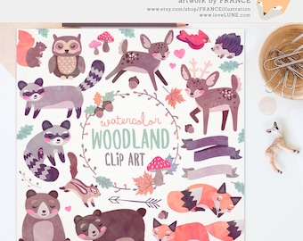 GET 3 FOR 2. Watercolor Woodland Clipart. Watercolour Raccoon, Bear, Deer, Stag, Banner, Owl, Hedgehog, Cute Handdrawn Transparent Clip.