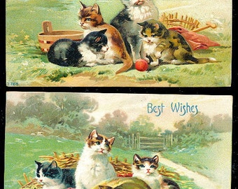 2 1911 Cats & Kittens Playing Postcards
