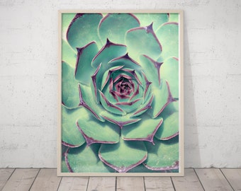 Cactus Print Art, Mexican Print, Cactus Decor, Mint and Coral Nursery Prints, Cactus Photo, Botanical Print, Succulent Plants, Mint Flowers