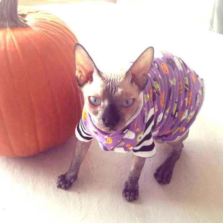 Spooky Baby Ghoulie Cat Halloween Costume Sphynx cat clothes