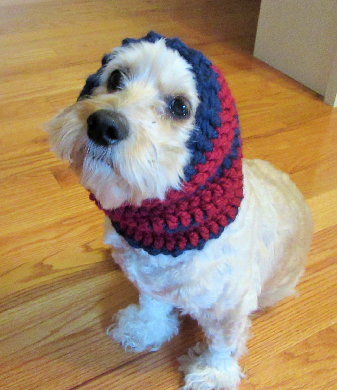 Crochet Dog Snood Handmade Dog Snood Dog Scarf Dog Ear
