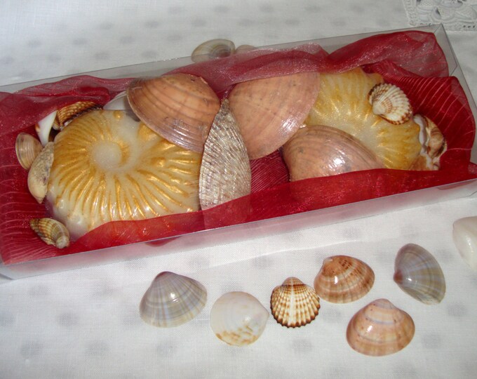 Natural Sea Shells & Decorative Shell Soap in a Gift Set, Beach Glycerin Scented Soaps, Aegean Sea Natural Shells, Unique Fathers Day Gift