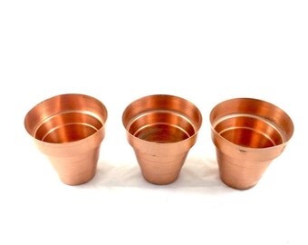 Cactus dish garden | Etsy