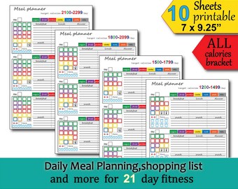 21 Day Fitness Logging System Tracking Sheet Beach Body 2100