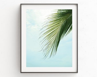 Palm Leaf Poster | Large Beach Wall Art | Tropical Decor Print